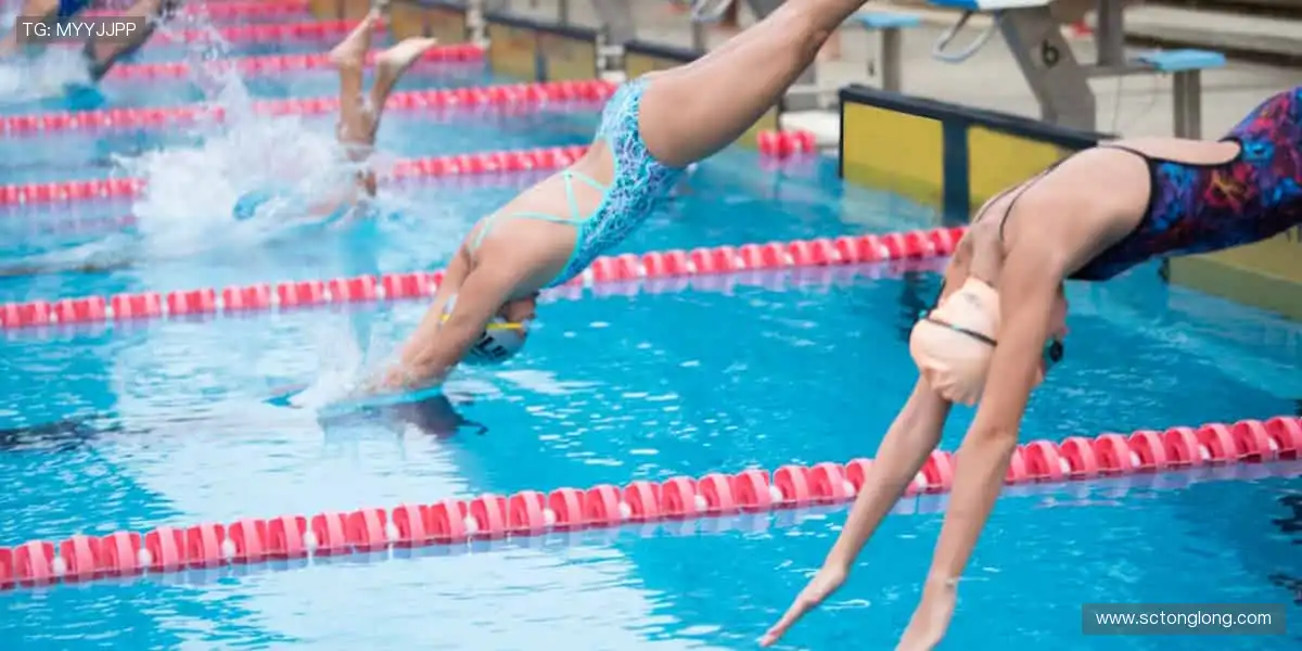 🎯精准数据,深度解析赛事背后的故事!